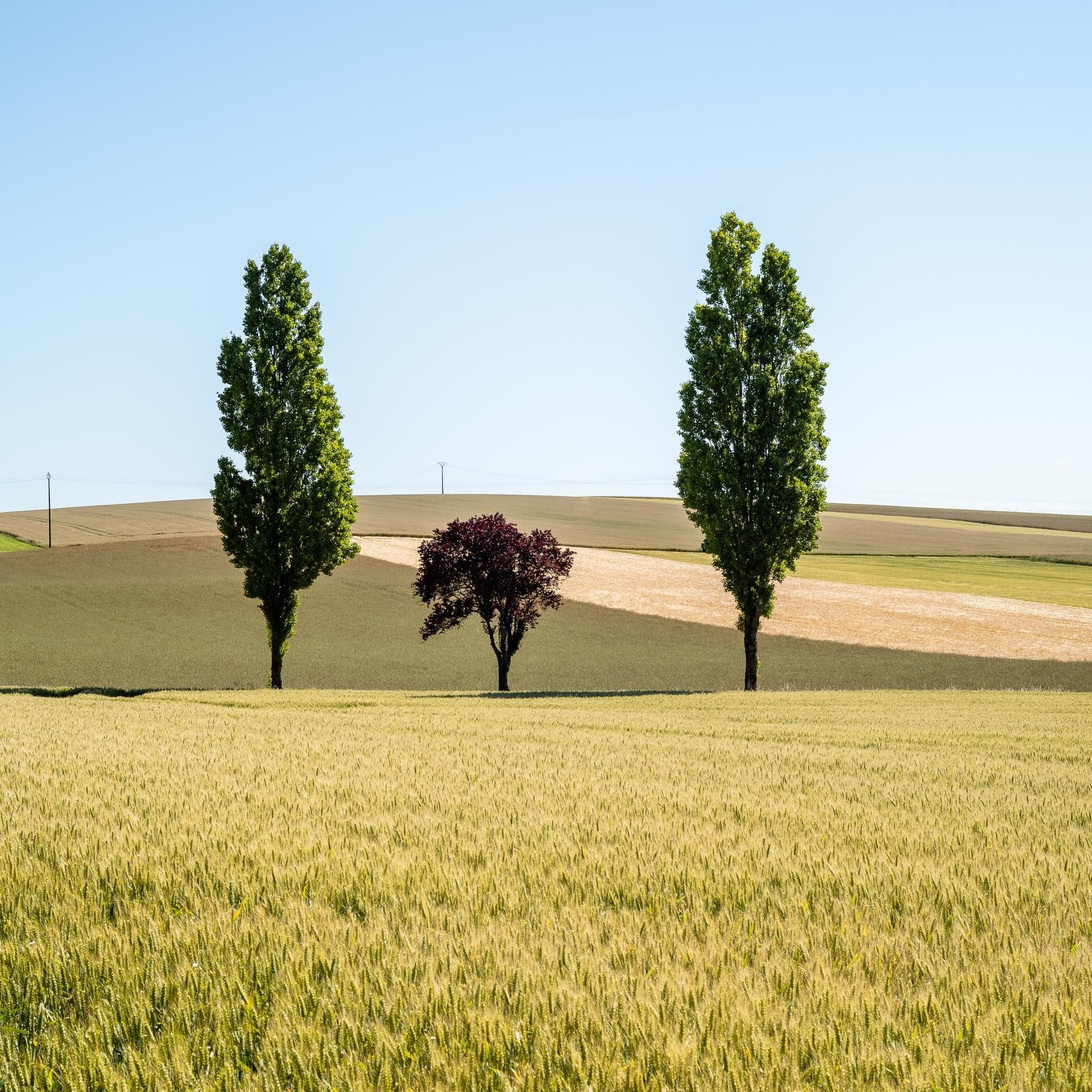 Photo de Jacques LEGOUEZ